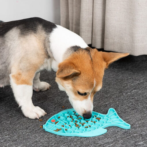 Slowfeeder - Langzaam eten is gezonder voor kat en hond